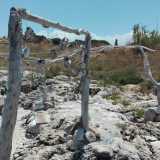 Un�altra �costruzione ornamentale� fatta di tronchi e pietre